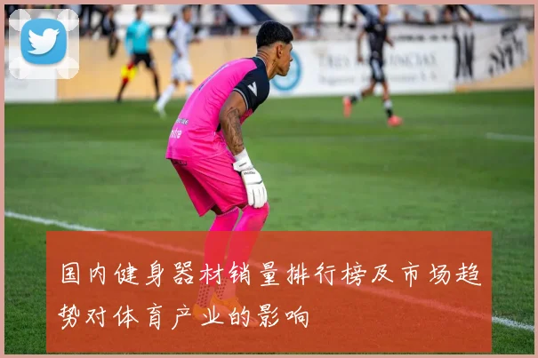 国内健身器材销量排行榜及市场趋势对体育产业的影响