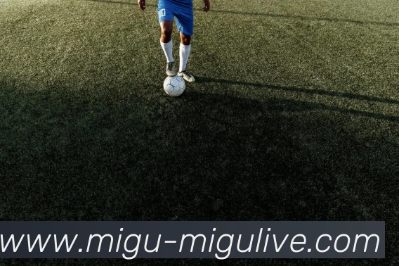 足球直播平台生态图